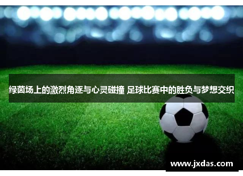 绿茵场上的激烈角逐与心灵碰撞 足球比赛中的胜负与梦想交织